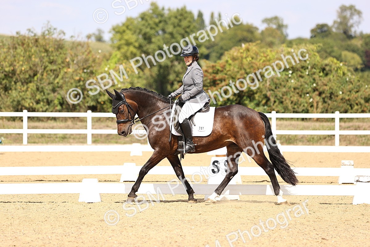 SBM_015017 - Class 6 - Elementary 5