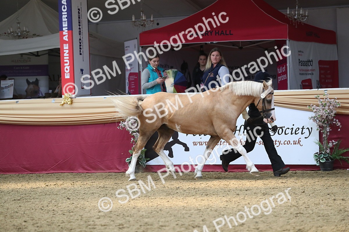 SBM_15236 - Class 501 M&M IH Supreme Final