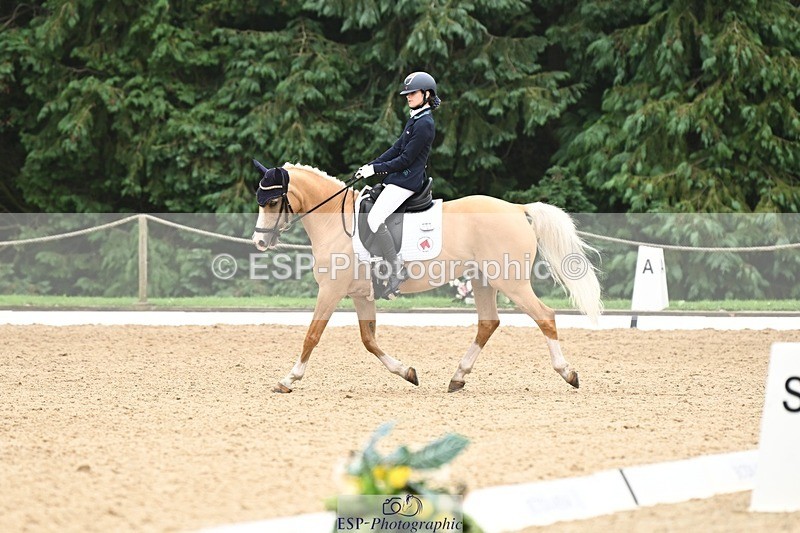 240811-122547-05826 - 301-Sophia.Longworth-Don.Deluxe