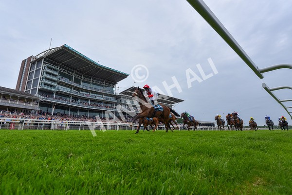 250524-Race 7-Feel The Need-7072 - Race 7 5.05pm Alf Duffield Memorial Handicap