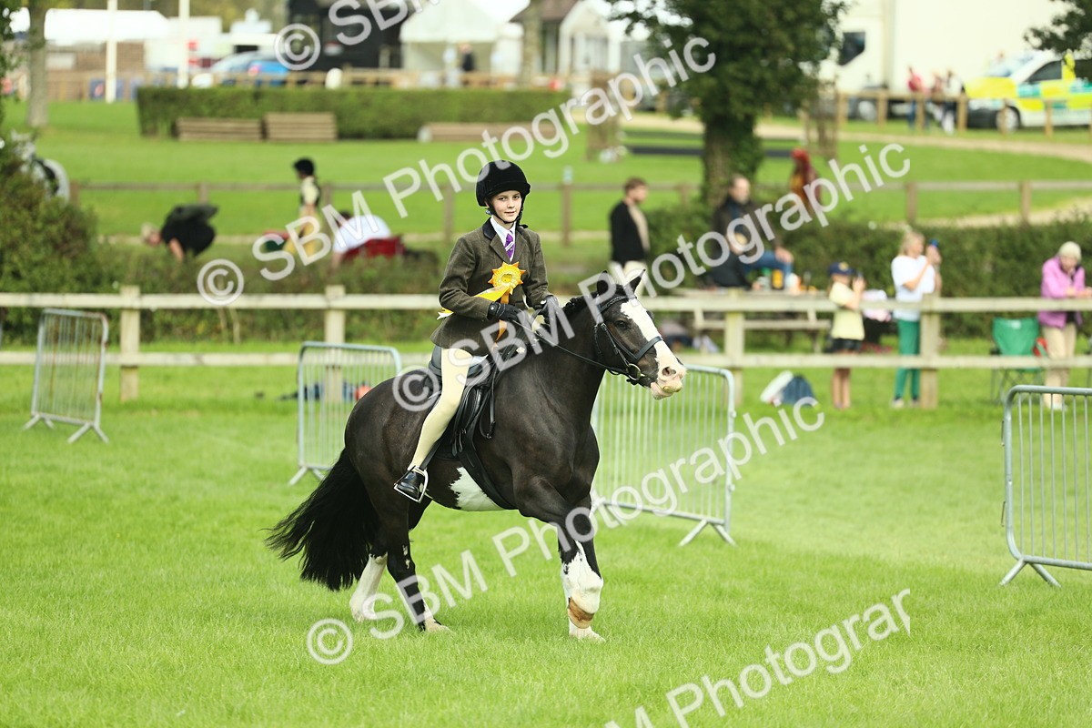 SBM_42264 - S29 - Novice & Newcomers Working Hunter Pony