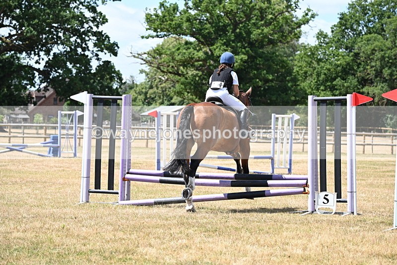 WJ6_5704 - Class 13 Novice 60cm