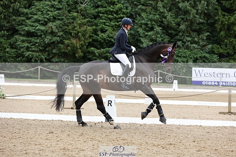 240810-170450-04528 - Elementary Silver