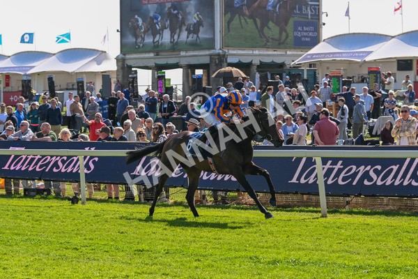 140525-Race 4-Whirl-2435 - Race 4 3.45pm Tattersalls Musidora Stakes
