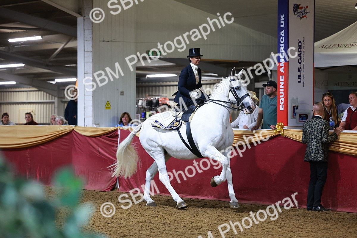 SBM_15055 - Class N - Side Saddle Champ