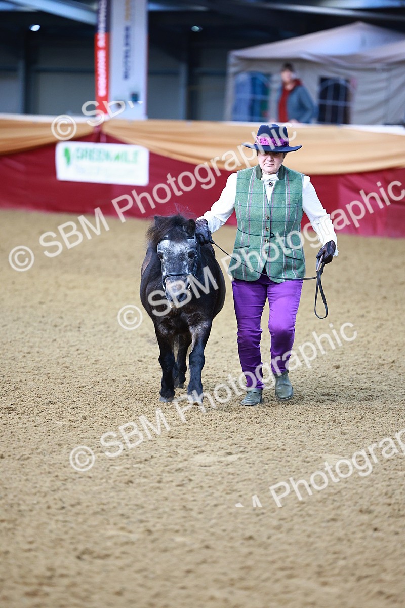 SBM_21673 - Class 901 - Supreme Final - IH  Diamond