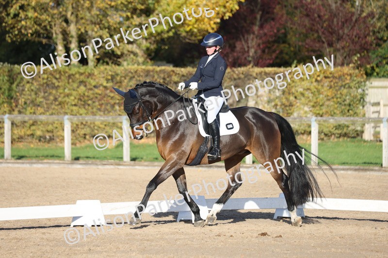 20251102-1229 - Class 7 - Medium 5