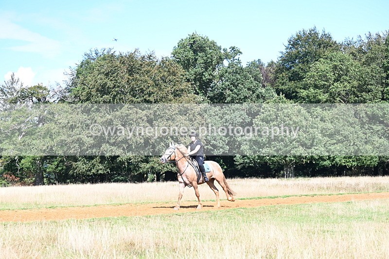 DSC_0139 - Time at Statue 15:58 to 16:05