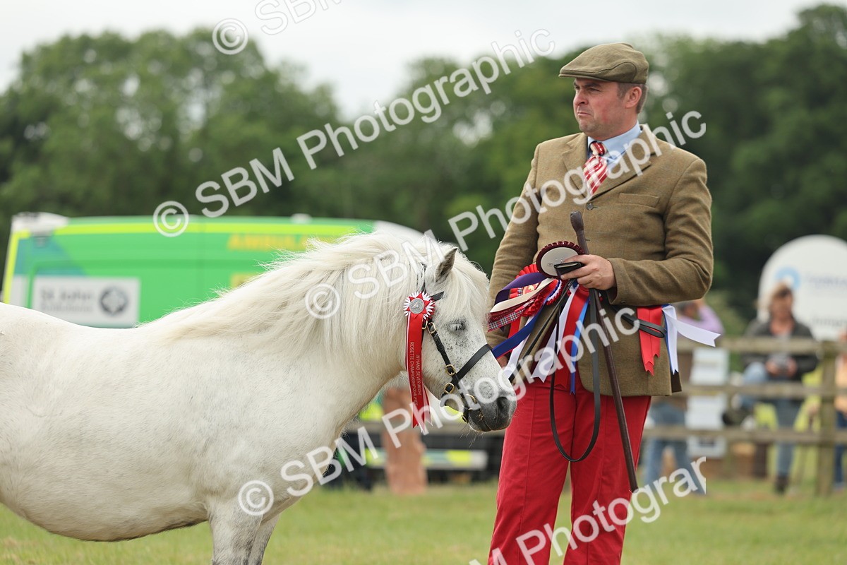 SBM_05101 - Class 50-57 - M&M Welsh Pony In Hand