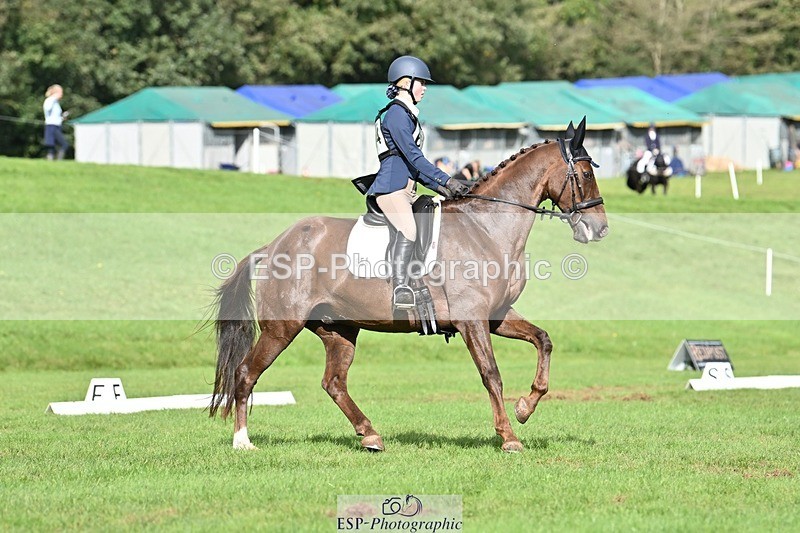 231020-122522-08381 - 654-BERNARD.BLACK-Darci.Barron-DR