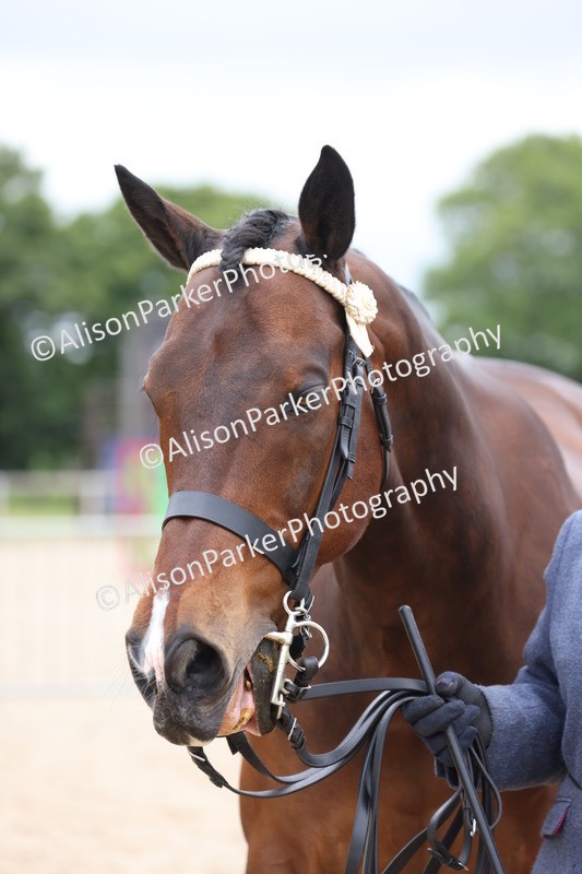 20250524-0725 - Class 7 - Veteran