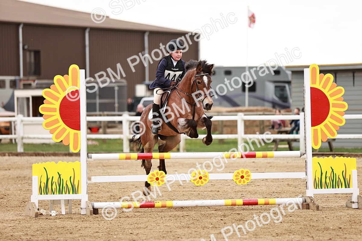 SBM_008906 - Class 5 - 80cm