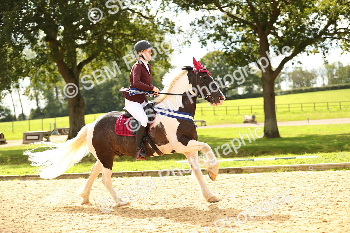 SBM_64194 - Supreme Championship - AM