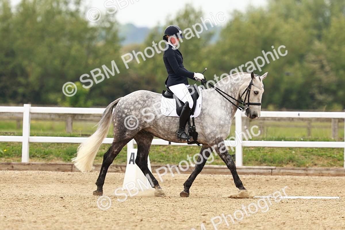 SBM_002541 - Class 12 - Medium 4