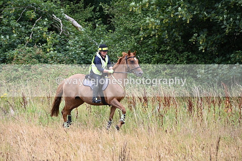 WJ6_2388 - Group 7