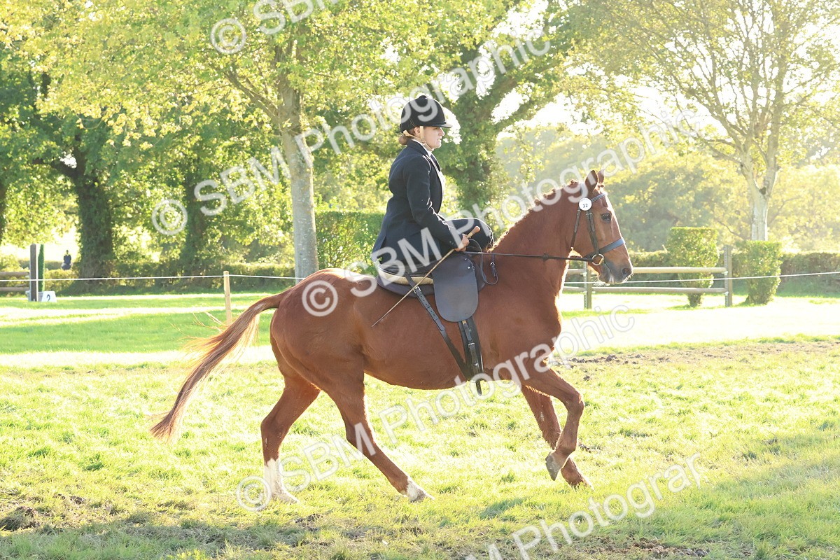 SBM_53004 - S29 - Mature Veteran Ridden