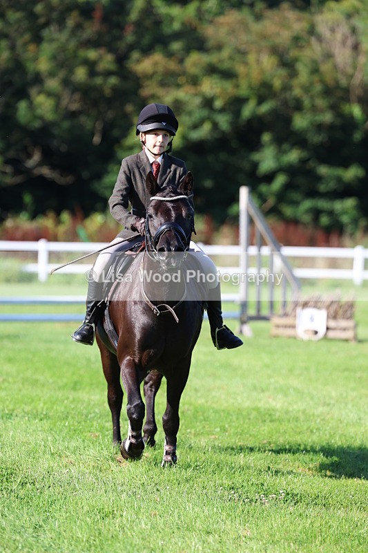 3E7A7494 - Class 1: Novice Working Hunter Pony