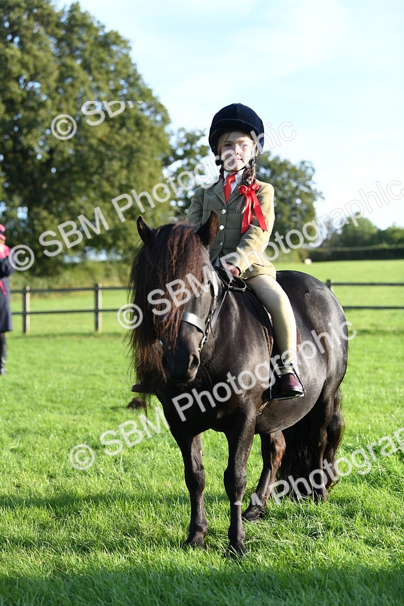 SBM_54131 - S23 - 1st Ridden Mountain & Moorland Pony