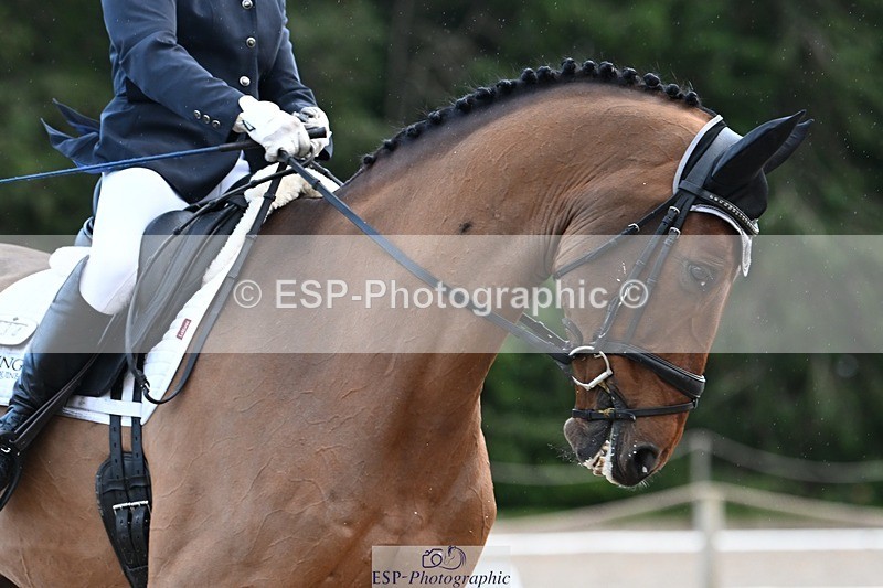 231110-143315-01960 - Cls 8 Medium 75Q