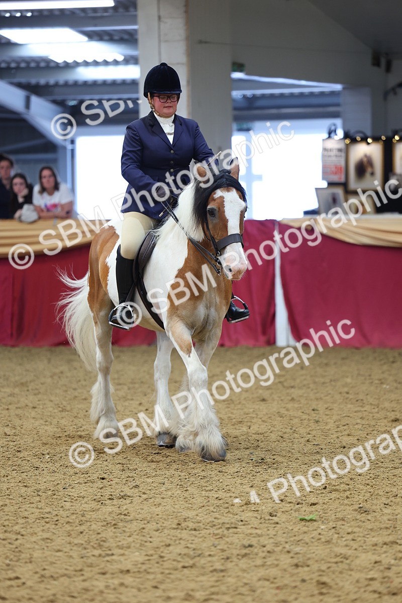 SBM_23772 - Class 904 - Supreme Final Ridden Diamond