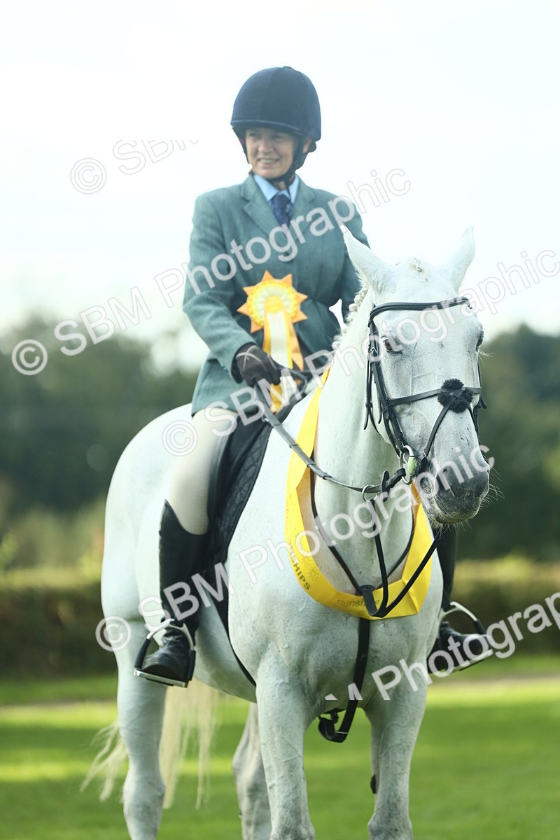 SBM_52221 - S33 - Working Hunter & Working Show Horse