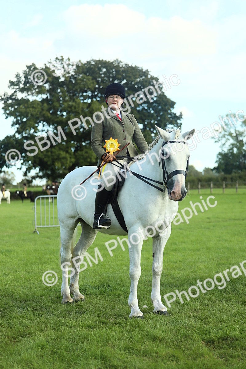 SBM_49937 - S32 - Novice & Newcomers Working Hunter