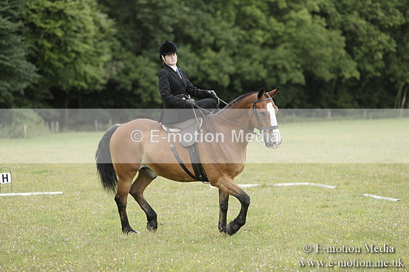 BVR160717-620 - Class 1 & 23a Dressage 16/07/17