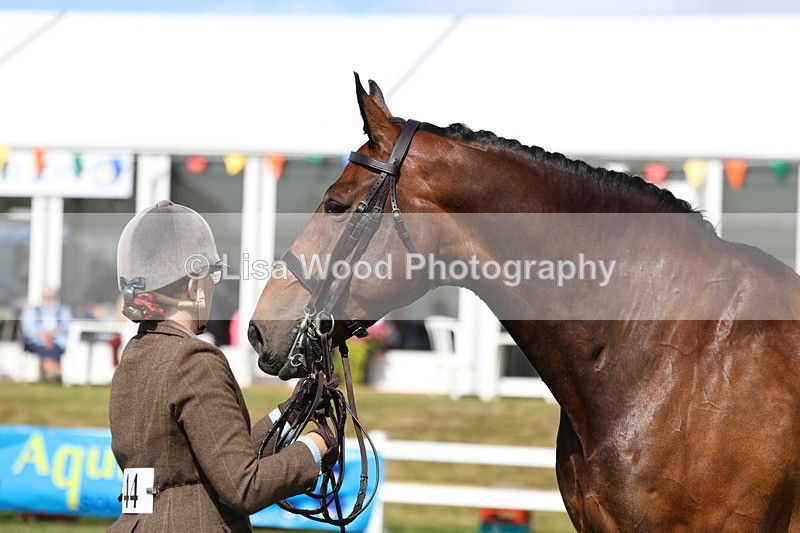 3E7A9540 - Class 4: Rising Star M/H Hunter