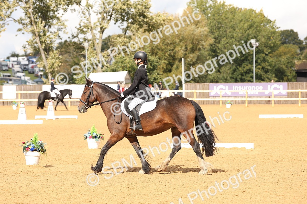 SBM_44198 - D6 - Small Tour Championship Intro 4