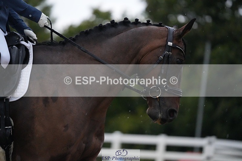 250907-084340-05533 - 087-Lauren.LanikSew.N.Sew