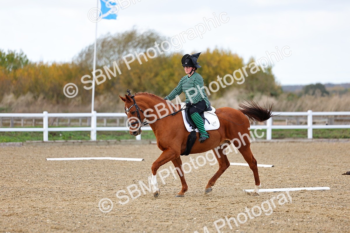 SBM_002599 - Class 8-11 - Novice 1-E1