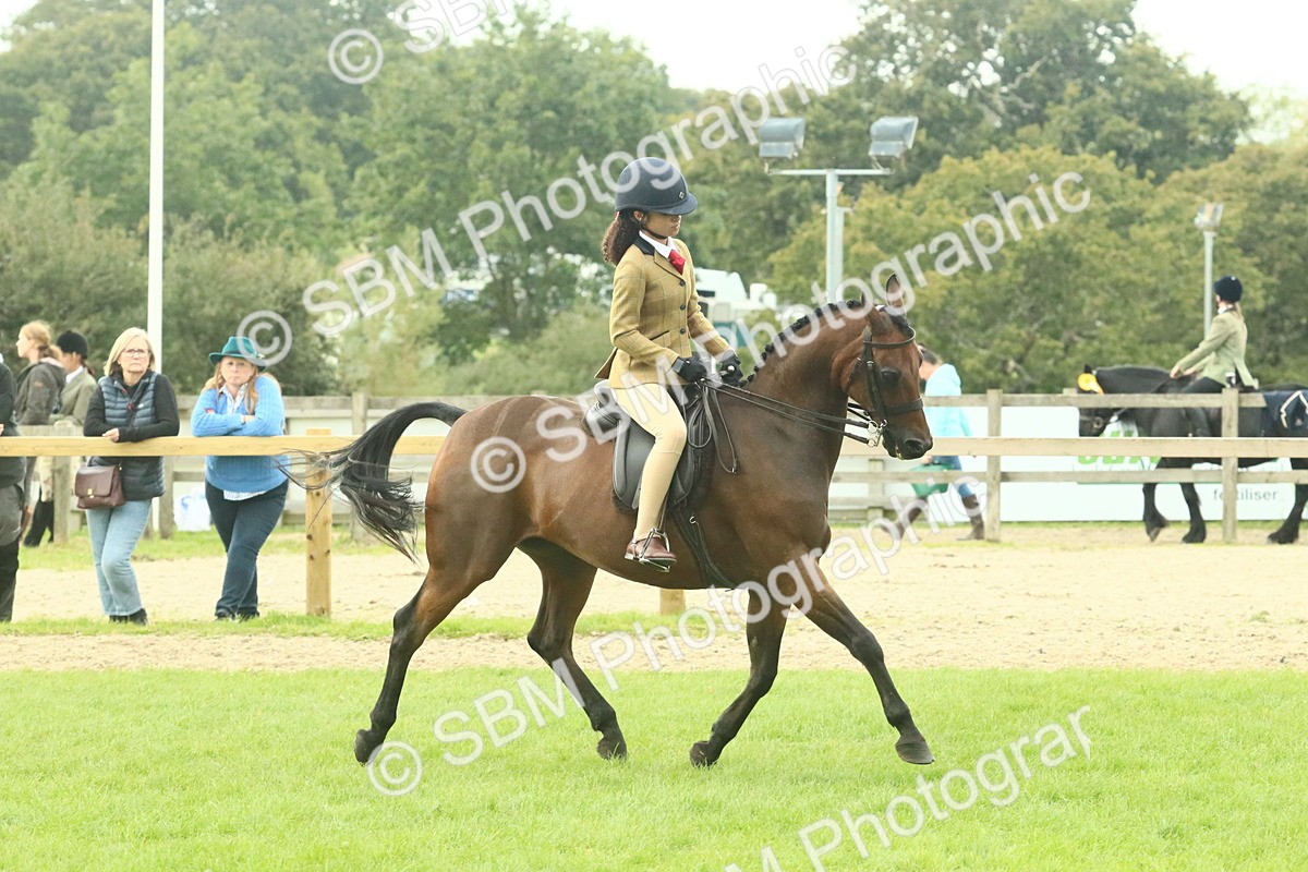 SBM_74076 - S 61 - Show Pony & Show Hunter Pony Ridden