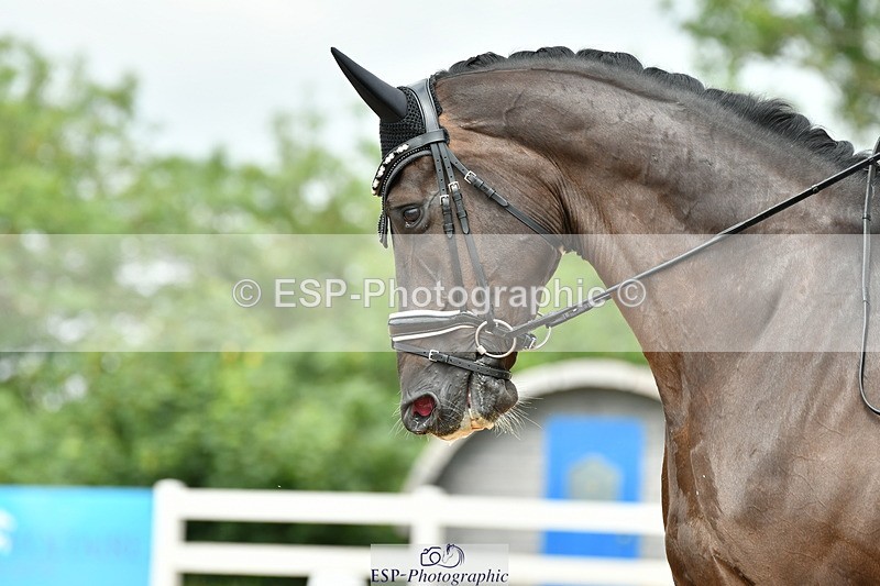 230701A-131747-06282 - Cls 12, 15 + 19 Music Medium, Adv Medium + Inter I