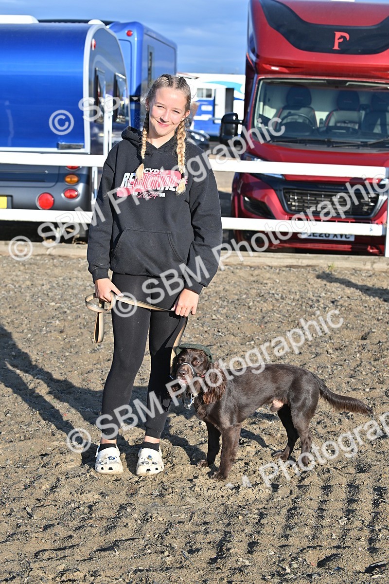 SBM_09375 - Lorry Dogs