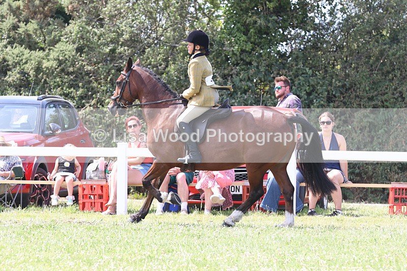 JPP_3361 - Class 22: Working Hunter 70cm