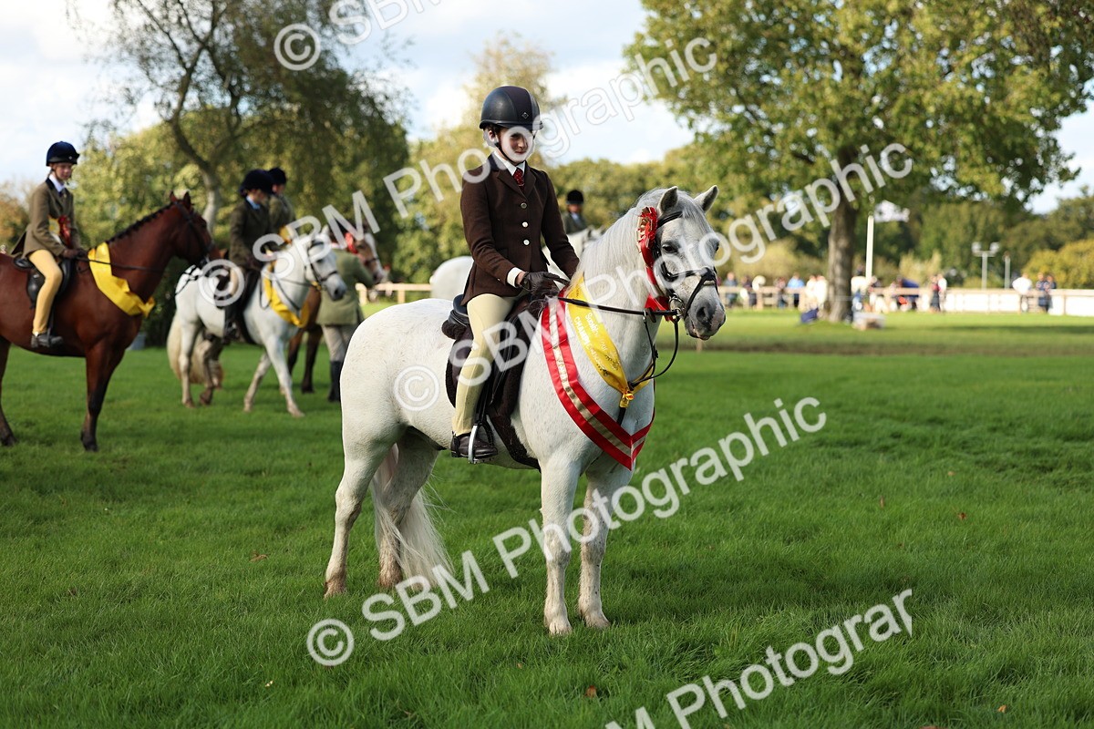 SBM_46391 - Working Hunter Pony Supreme Championship