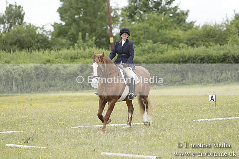 BVR160717-1232 - Class 2 Dressage 16/07/17