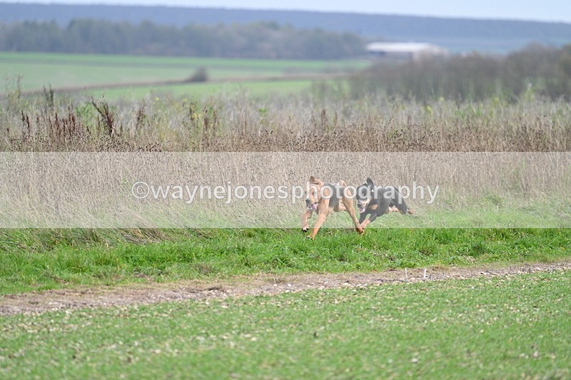 WJ7_2519 - Camera A