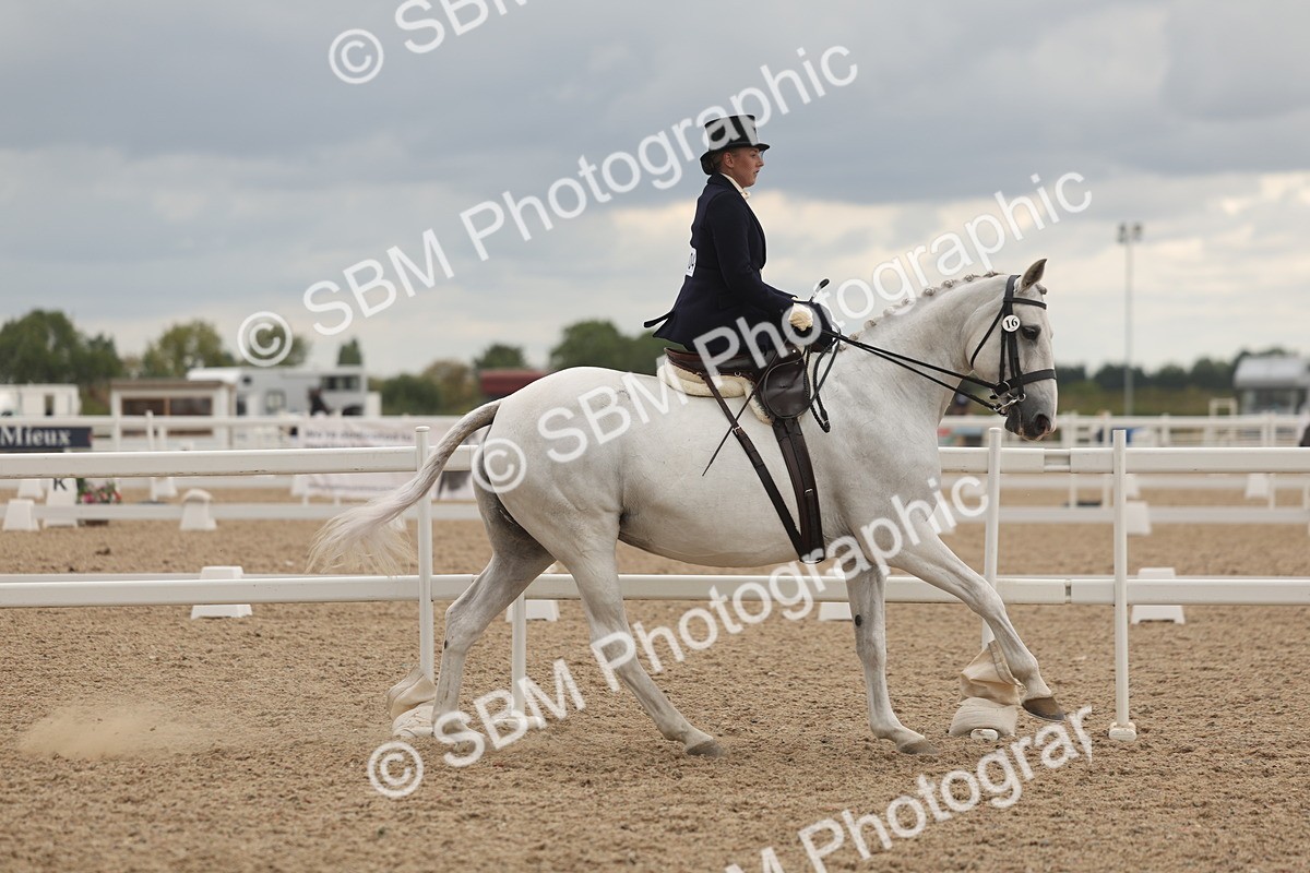 SBM_06416 - Class 23 - SSA - Classical