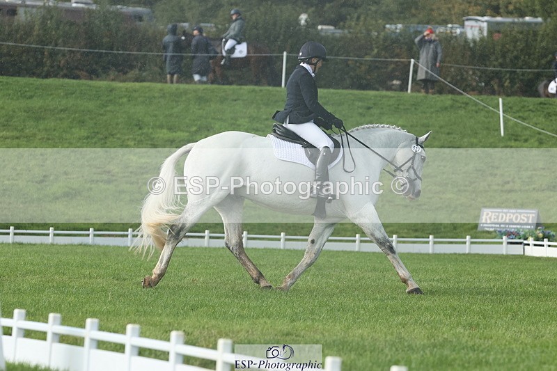 251023A-143622-04996 - G-522-Sue.Parkes Inc Trot Up