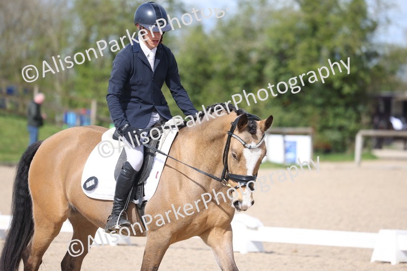 20260405-0273 - Class 3 - Novice 5