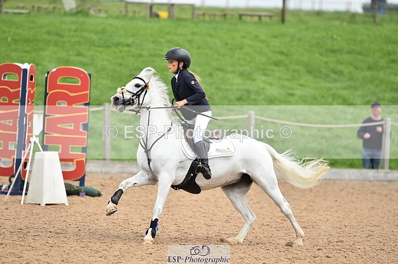 230902A-114916-00861 - Cls 2B Pony Small 80cm