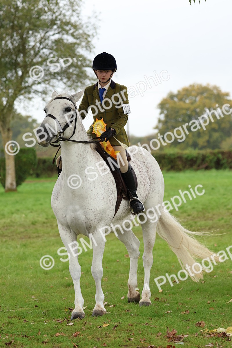 SBM_69757 - S62 - Mountain & Moorland Ridden Large Breeds