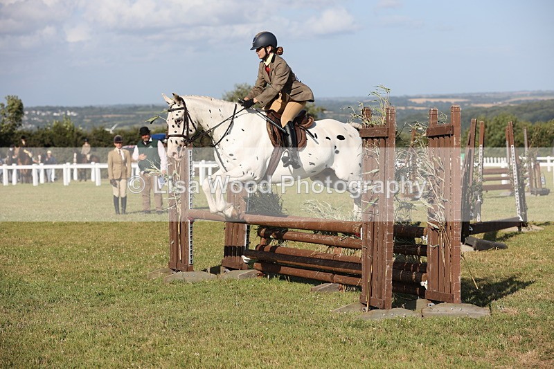 JPP_3163 - Class 21: Working Hunter 80cm