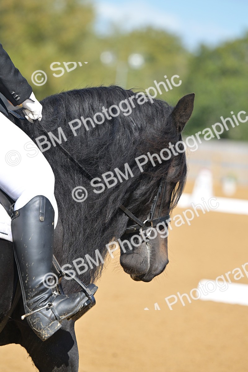 SBM_03979 - D2 - Small Tour Championship Intro 2