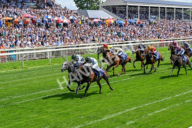 270626-Race 3-Naanas Shadow-0207 - Race 3 14.25pm Al Basti Equiworld Dubai Dash Handicap