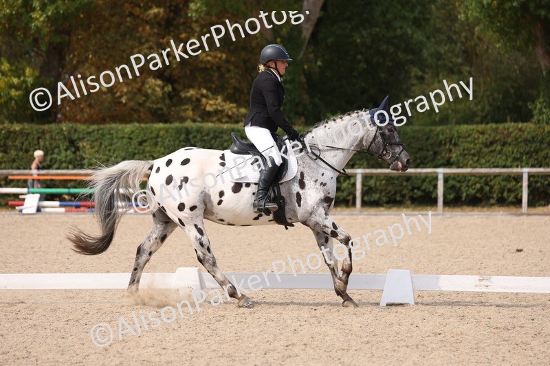 20250819-1586 - Class 5 - Novice 3