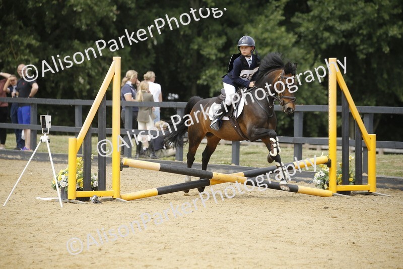 20250622-4724 - 50cm