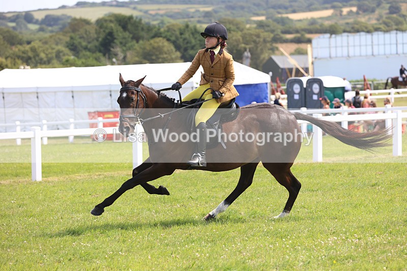 JPP_3576 - Class 23: Working Hunter 80cm
