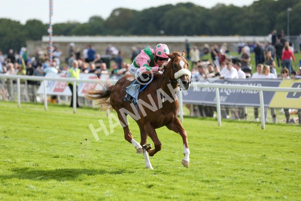 170523-Race 6-Mon Na Slieve- 7022 - Race 6 4.45pm British EBF 40th Anniversary Novice Stakes